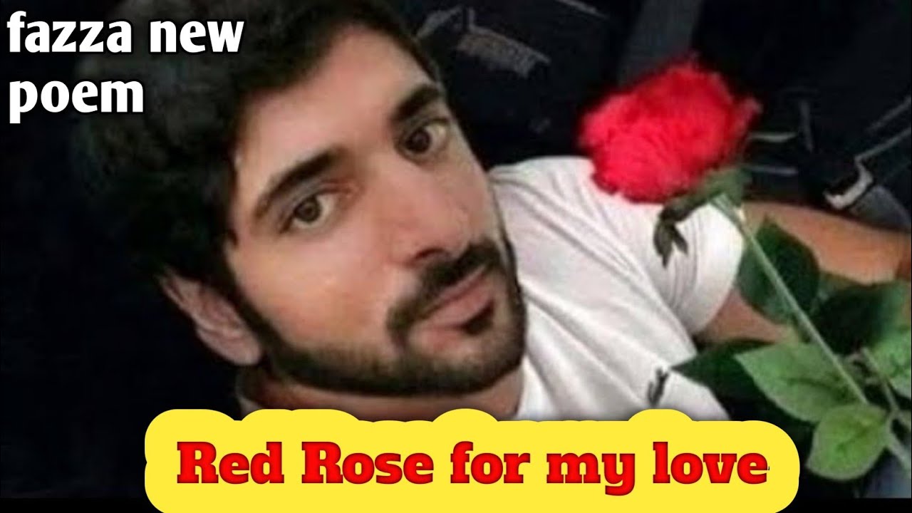 sheikh hamdan new poem|fazza new beautiful poem|fazza English translation poem