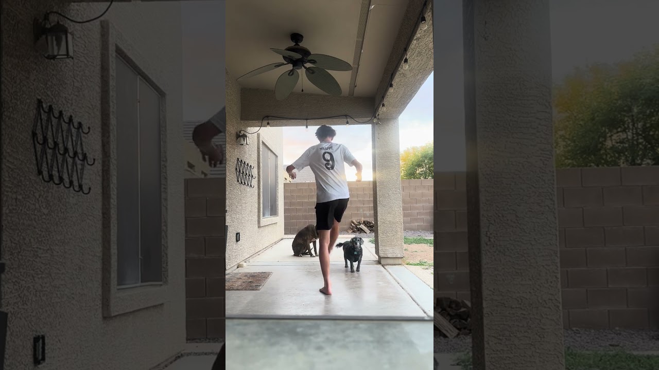 day 88