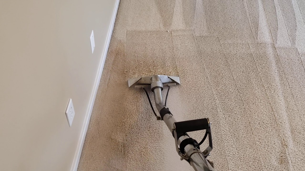 Pet Dander Move out Carpet Cleaning