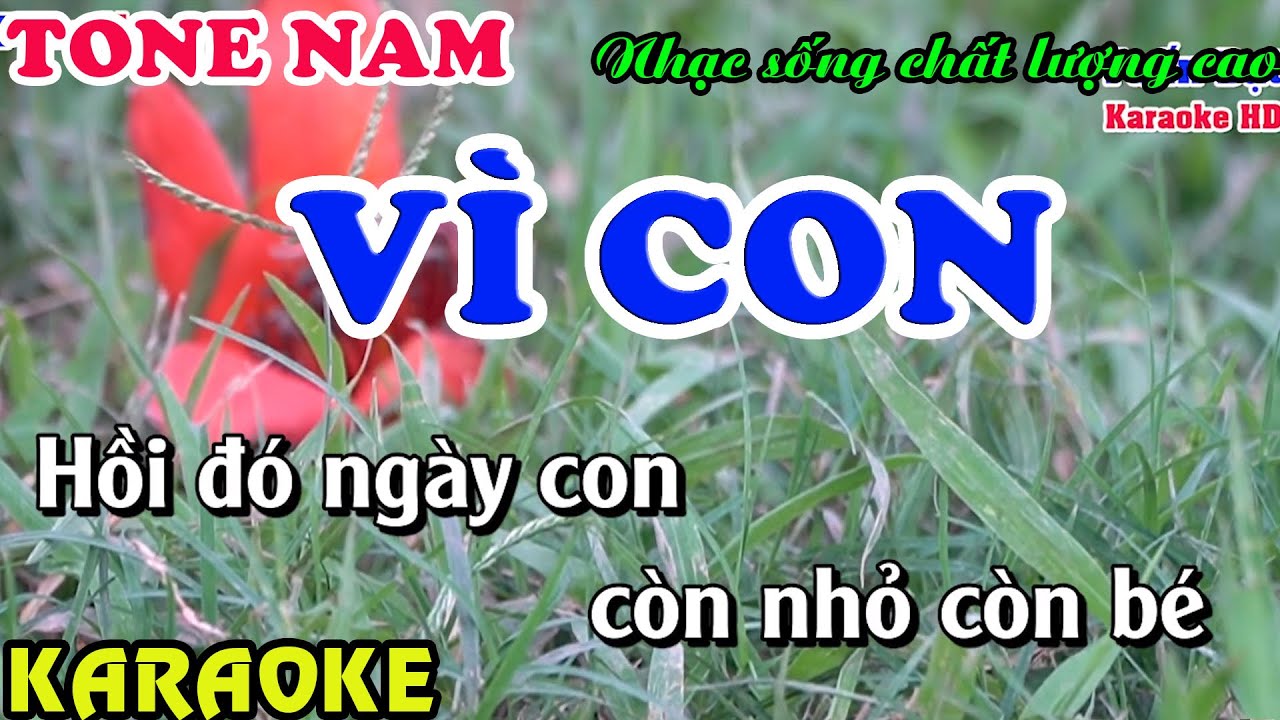 Vì Con- Karaoke tone nam hạ tone dễ hát mới nhất 2023- Tuấn Đạt Organ
