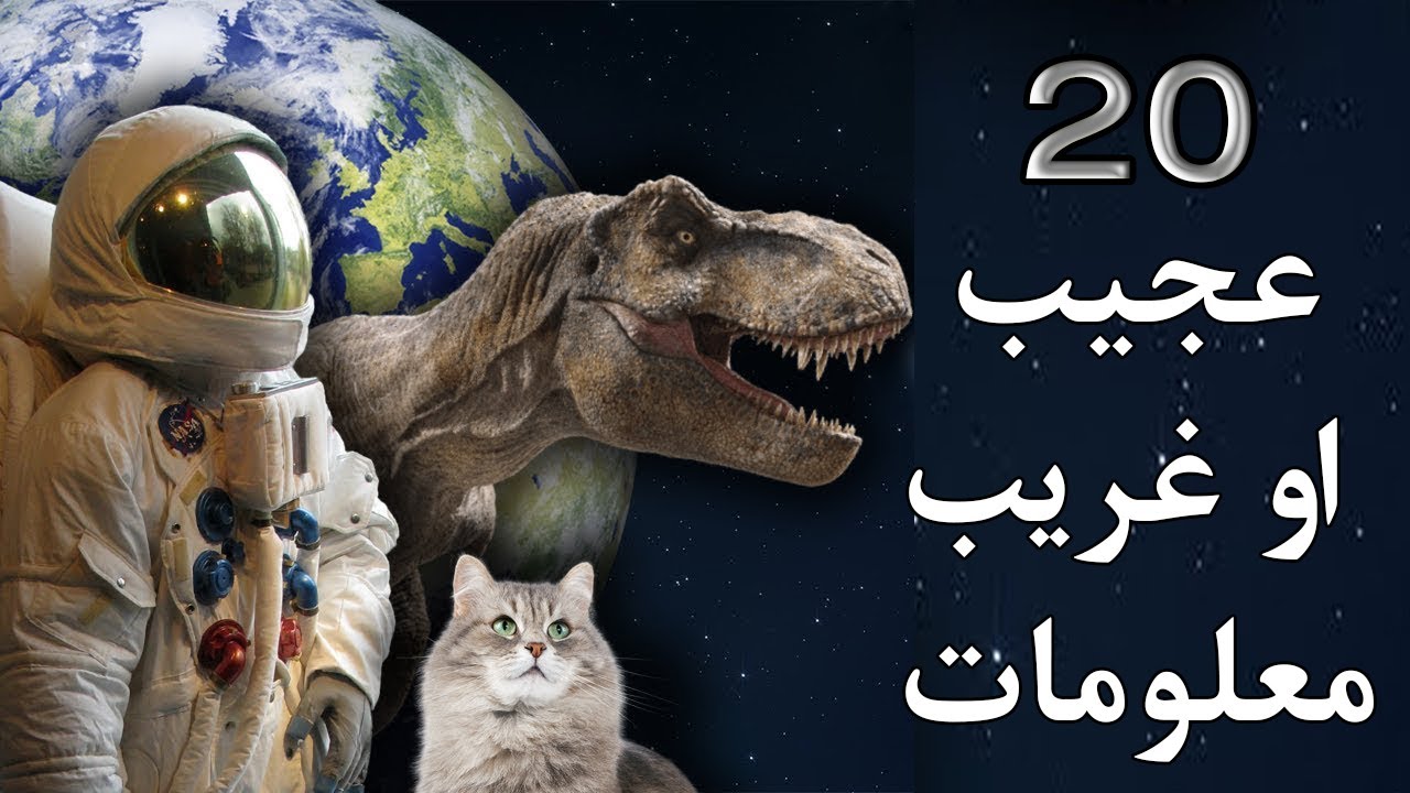 Ajeeb Malomat | د نړۍ په کچه 20 عجیب او غریب جالب معلومات | ایا پوهیږئ پښتو معلوماتي چینل