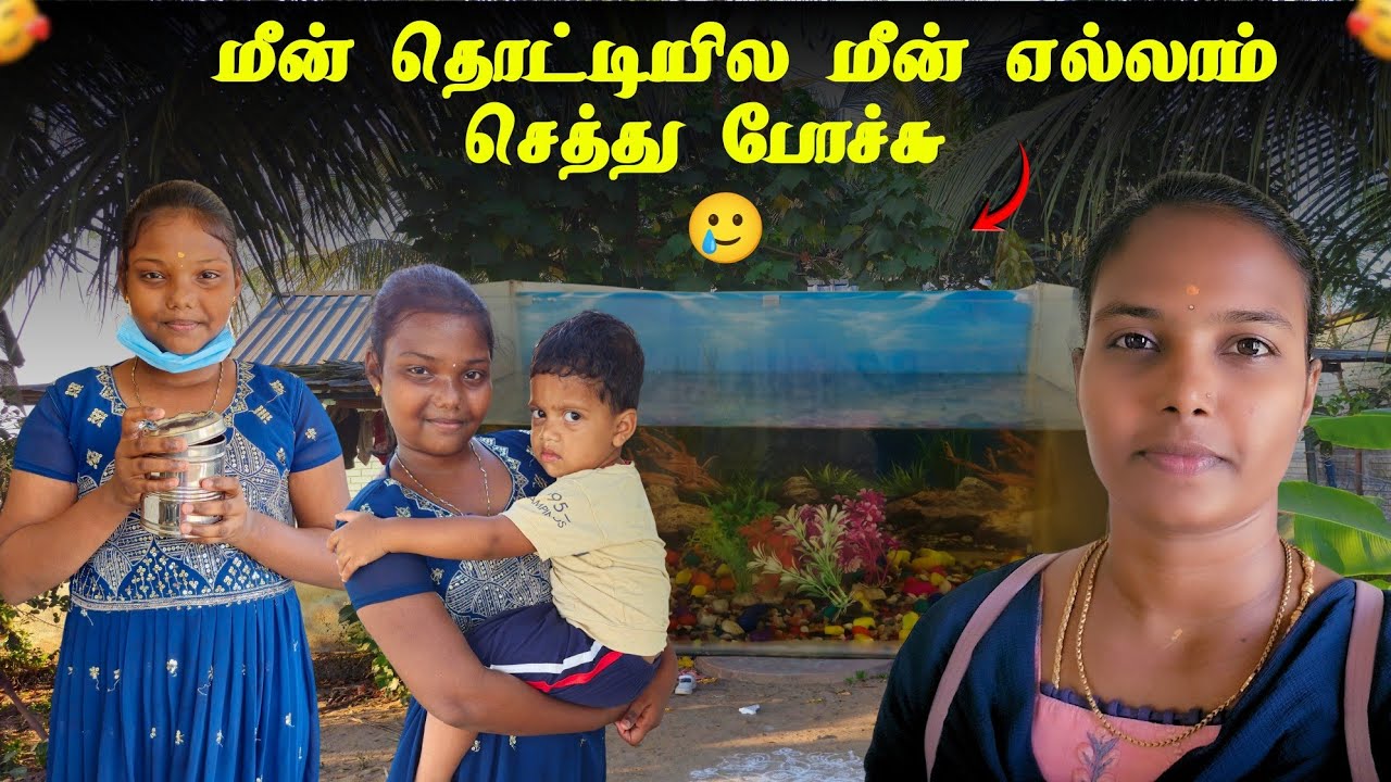 மீன் எடுத்துட்டு ஊருக்கு போறேன் 😓 // travel vlog // Sri Cyber Tamizhachi 