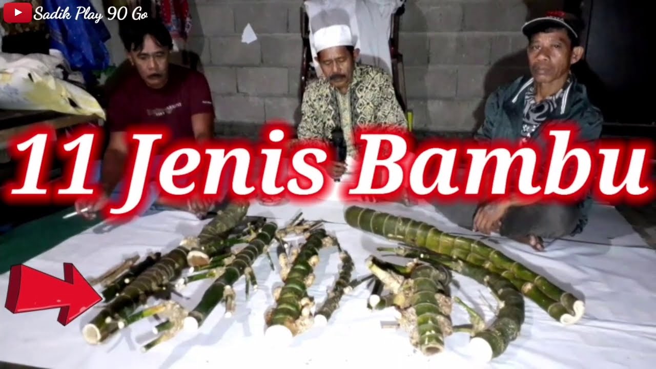 11 Jenis Bambu Unik