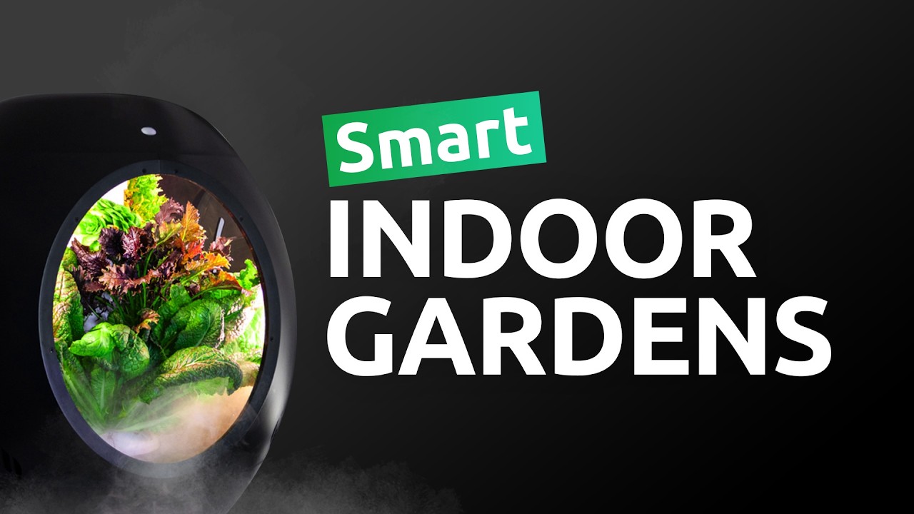 7 Best Smart Indoor Gardens You Can Get
