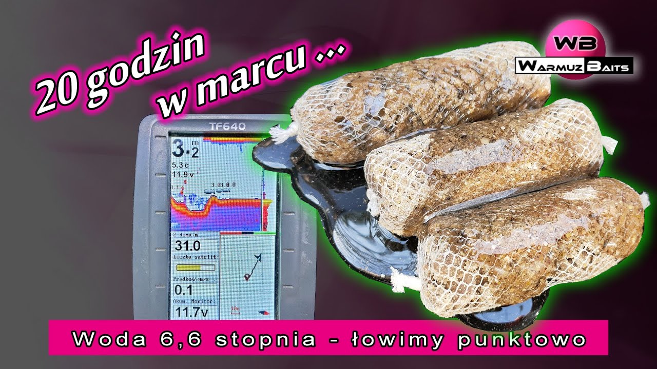 20 godzin w marcu