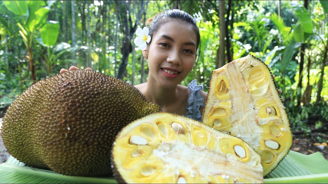 Primitive Technology: ASMR eating jack fruit | ASMR eating   jack fruit