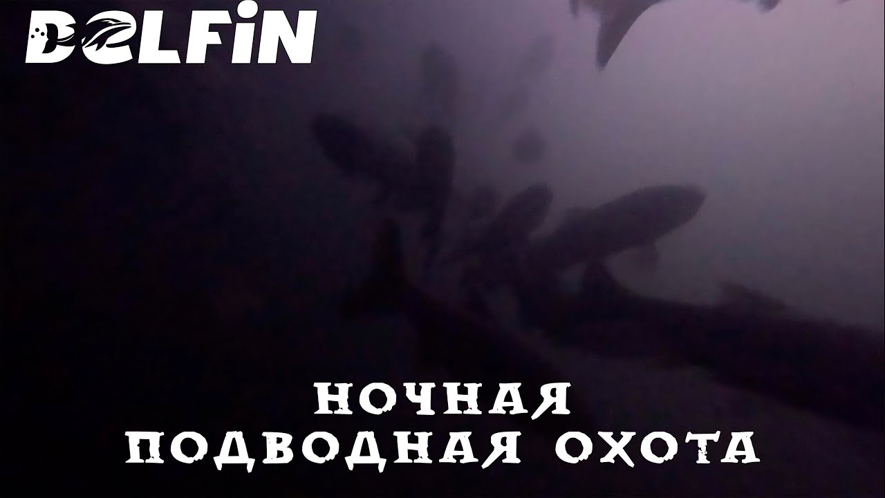 Подводная охота на закате: встреча с Брянскими толстолобиками и неожиданная поломка