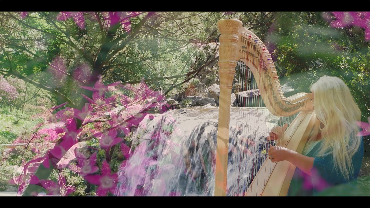 Quelle - Johanna Dammert (Official Video)