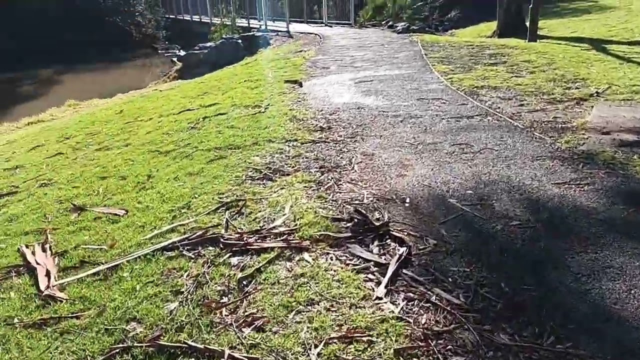Burrangong Creek