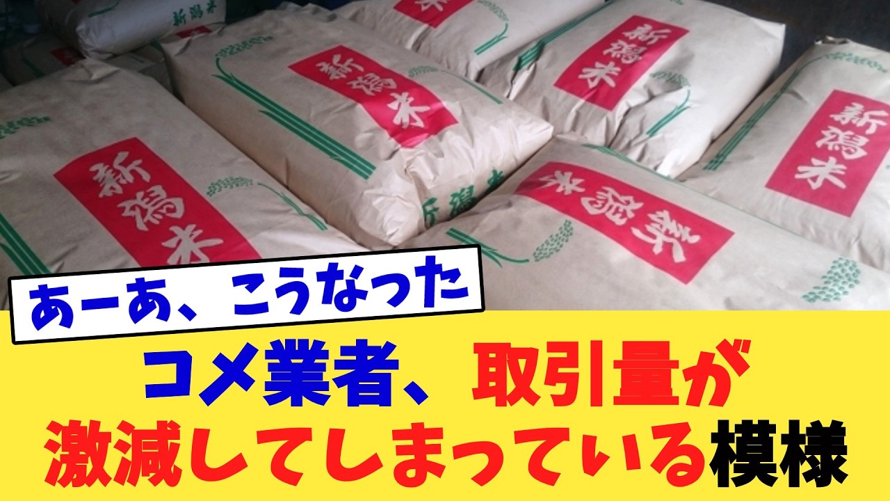 コメ業者、取引量が激減してしまっている模様
