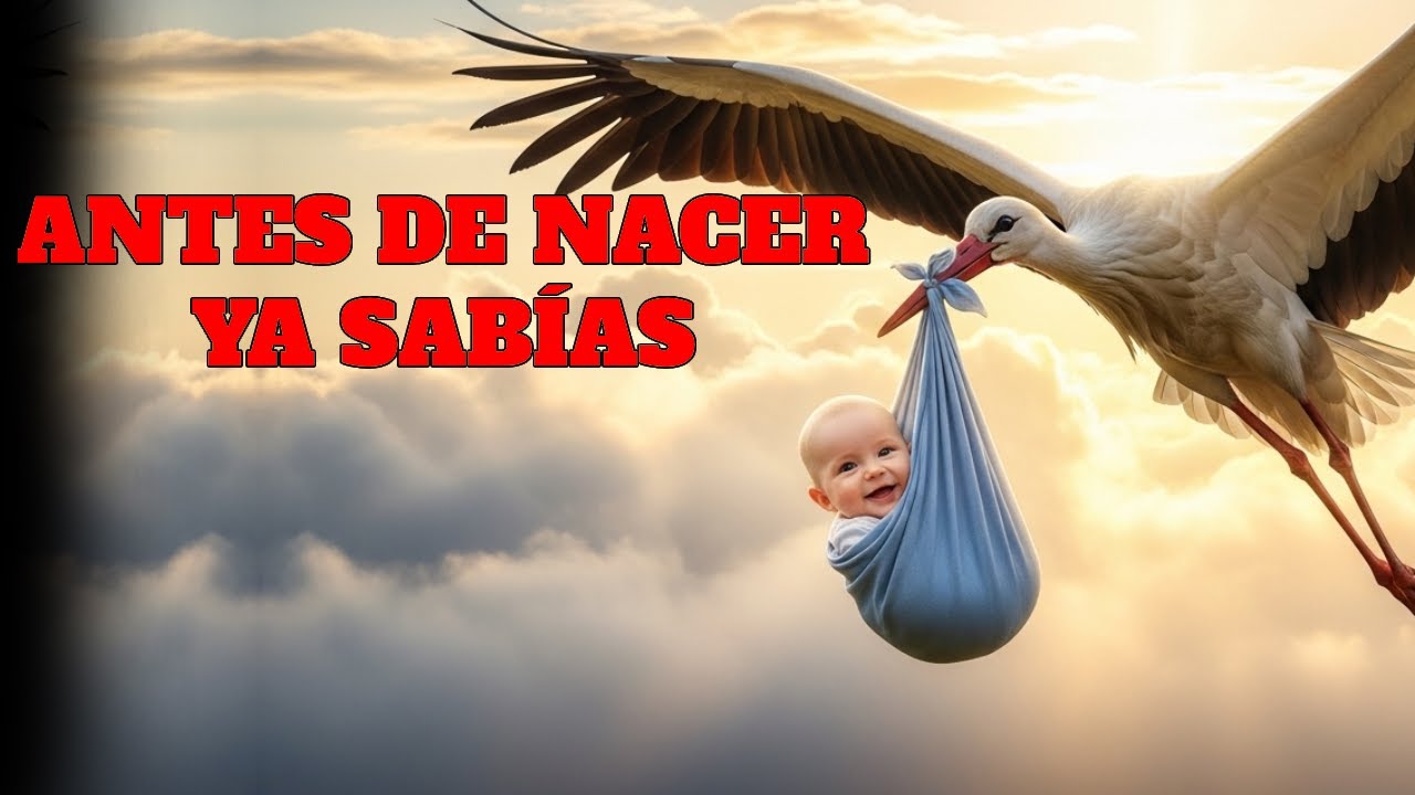ANTES de NACER ya SABIAS: El PACTO SAGRADO que HICISTE con OLODUMARE