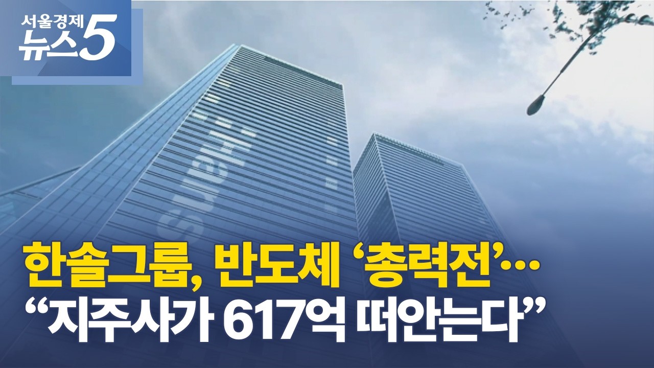 한솔그룹, 반도체 &lsquo;총력전&rsquo;&hellip;&ldquo;지주사가 617억 떠안는다&rdquo;