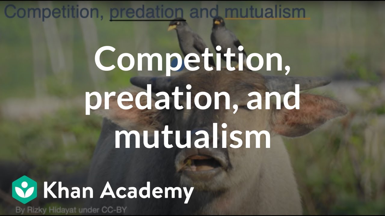 Competition, predation, and mutualism | Middle school biology | Khan Academy
