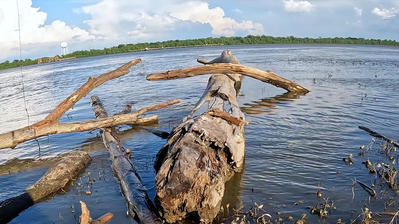 Risking My Life For Catfish, Mississippi River High Water Time