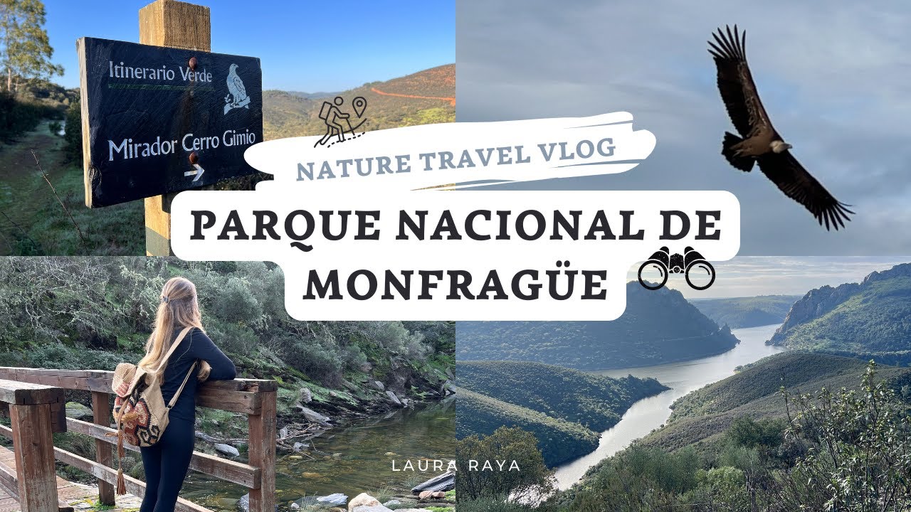 PARQUE NACIONAL de MONFRAGÜE ¿QUÉ VER? senderismo y SALTO DEL GITANO | vemos BUITRES y CIERVOS cerca