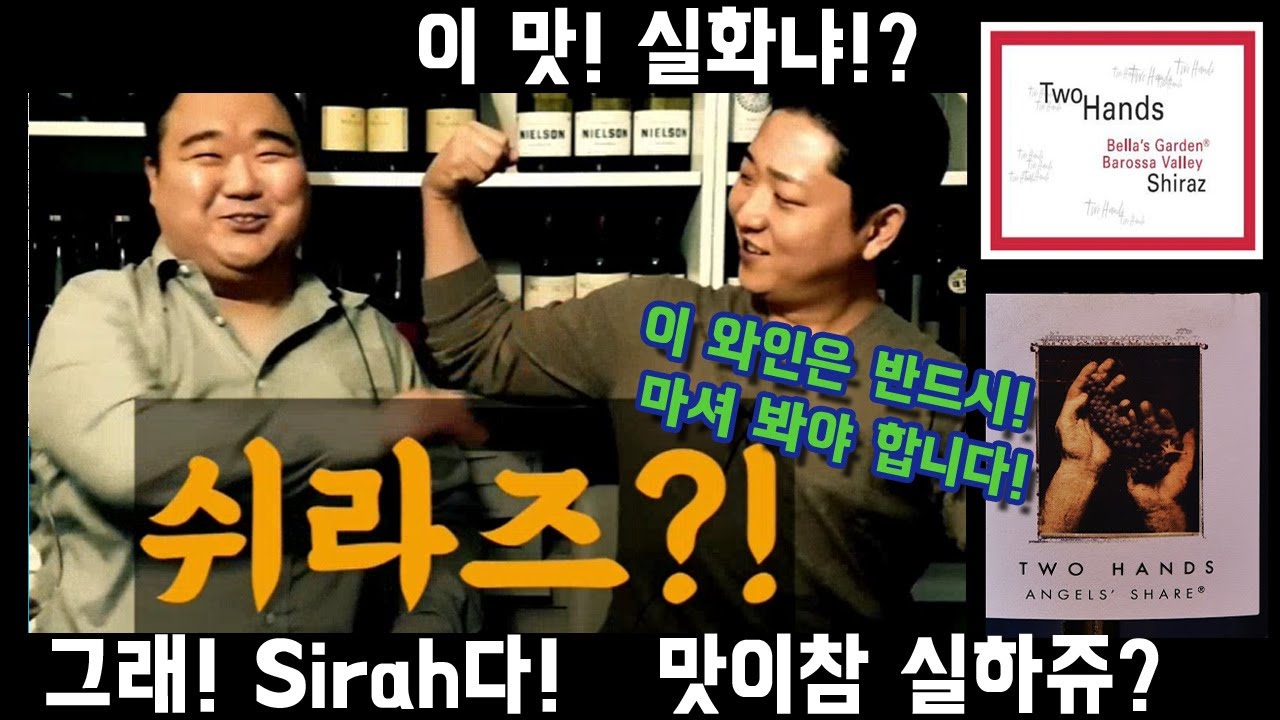 투핸즈 엔젤스 쉐어 쉬라즈 VS 벨라즈 가든 쉬라즈 같은 와이너리 꼭 비싼 와인 먹어야 하나?
