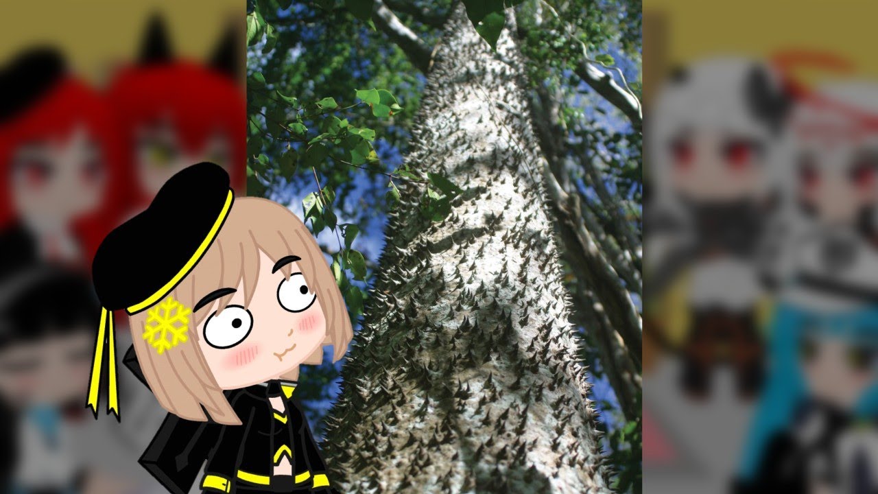 Nikke The Goddess Of Victory react to This tree grows SEED GRENADES by More Parz (requested)