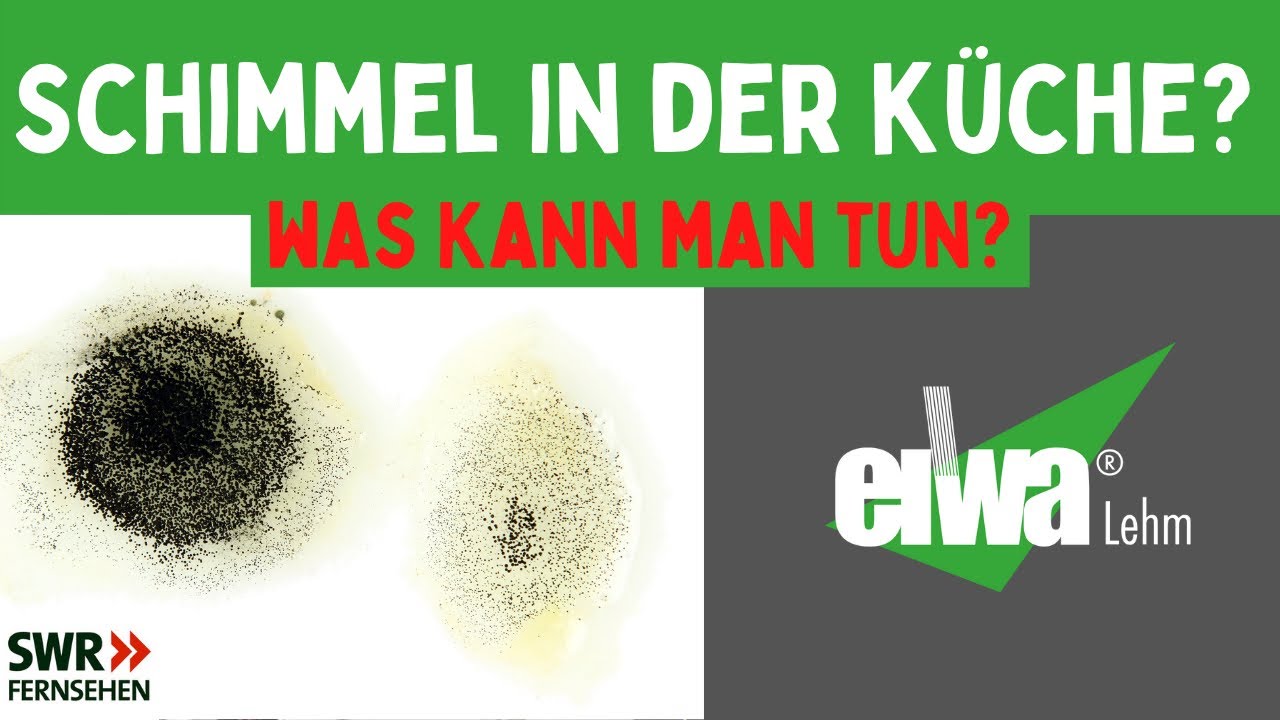 Schimmel entfernen in der Küche,nach dem Anbau kam der Schimmel. SWR 3 Baucoach Waldemar Eider hilft