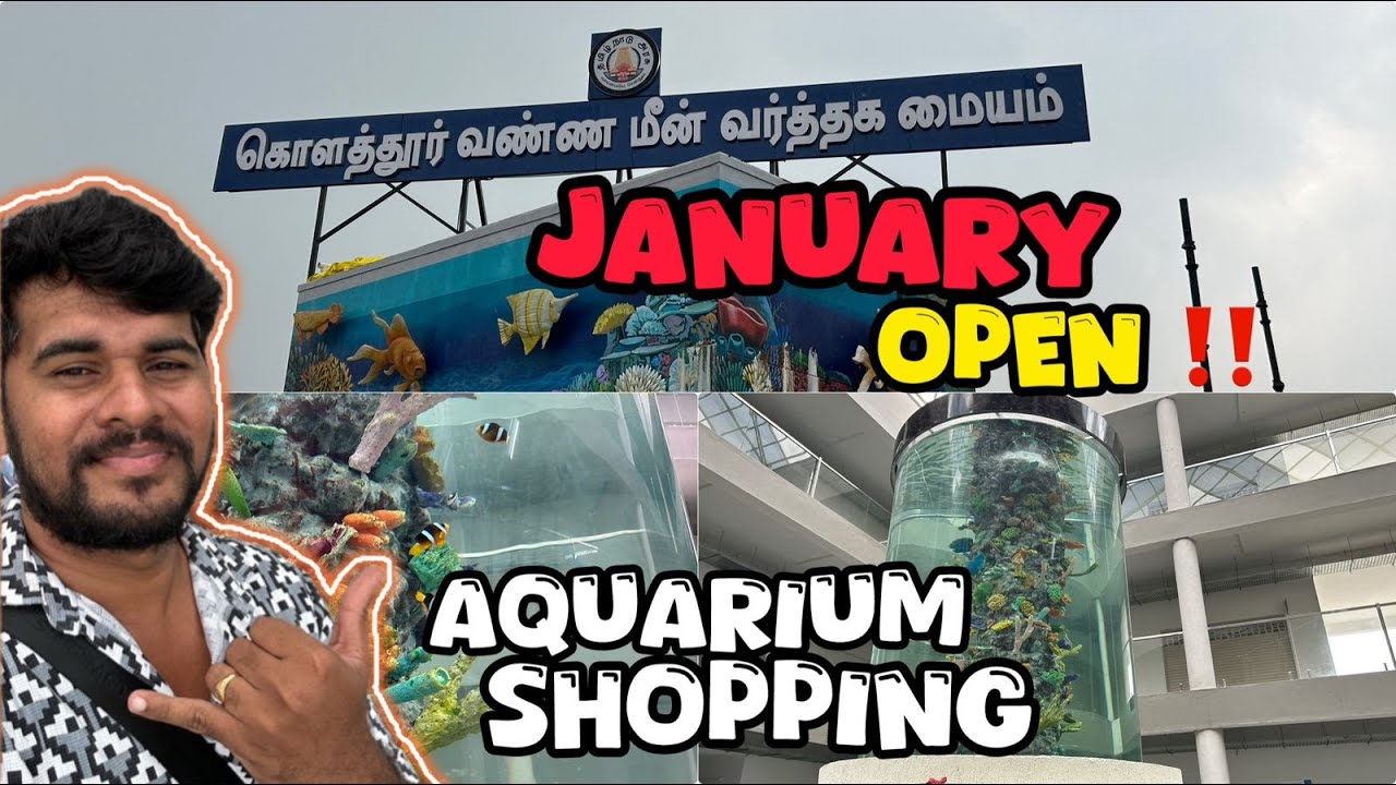 முதன்முறையாக 😱 Kolathur color fish Trade centre 🐠 Villivakkam🐬 எப்போ மக்கள் வரலாம்⁉️