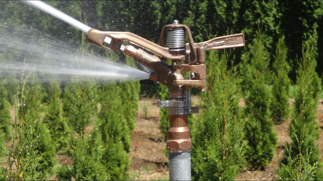Buckner Royal Coach 10151 Impact Sprinkler