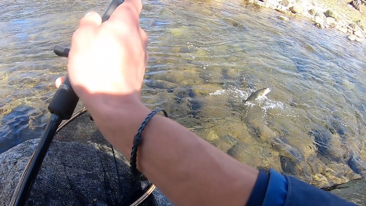 Virginia Trout Fishing
