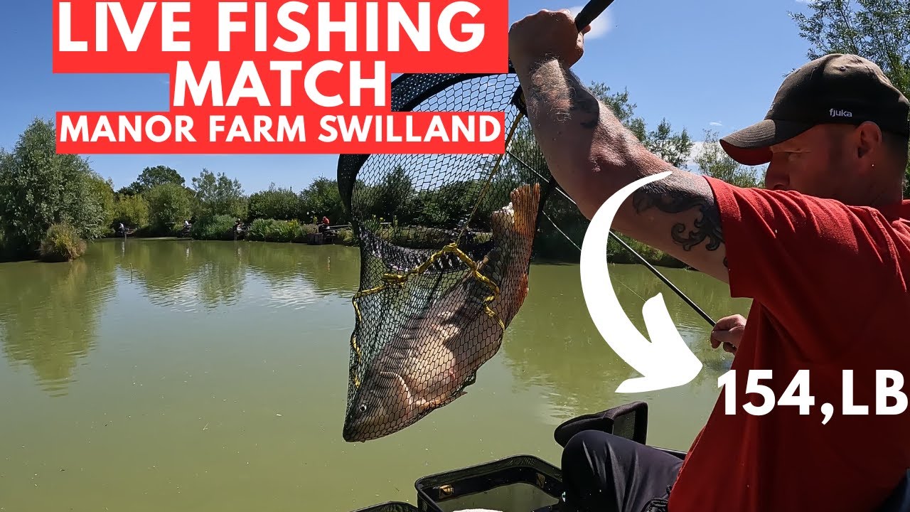Live Fishing Match Manor Farm Swilland IP6 9LB, #matchfishinguk