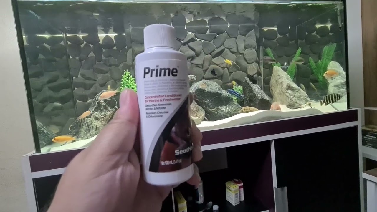 Amônia no aquário e agora o que fazer ?