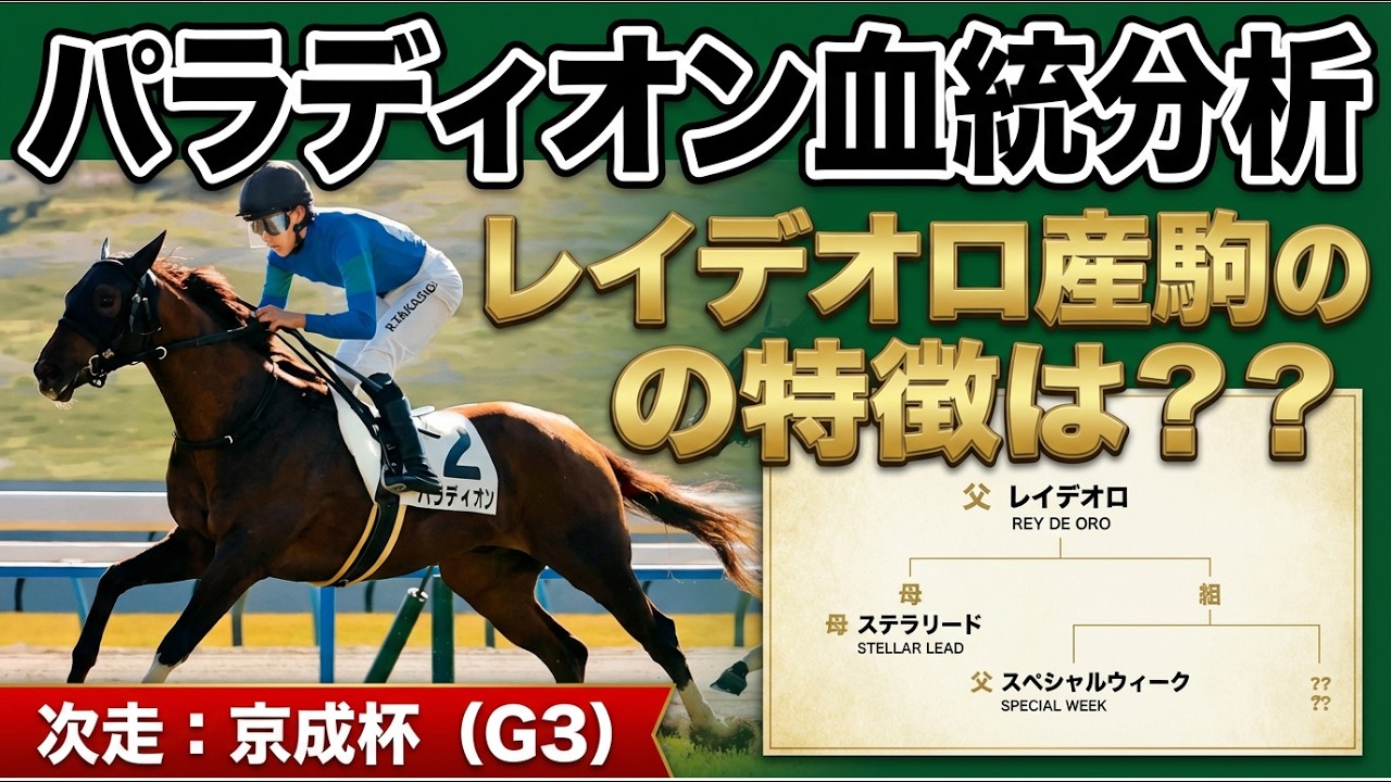 【京成杯へ】パラディオン血統分析｜レイデオロ産駒の特徴とは？