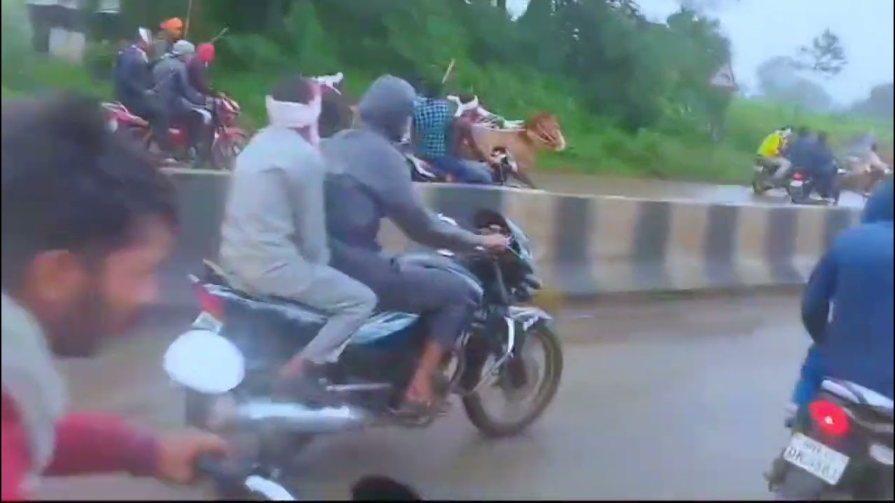 SAROLA TO SILLOAD 1 NO.  Bailgada sharyat Rase full video| #nadekachbailgadasharyat #viralvideo