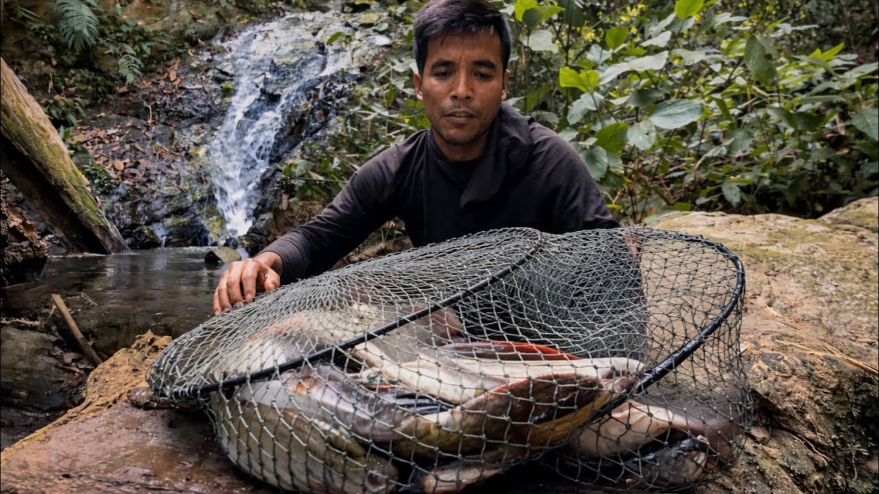 Câu Cá Dựng Lều Cắm Trại Trong Rừng Già Việt Nam | Fishing in Vietnam’s Deep Jungle Survival