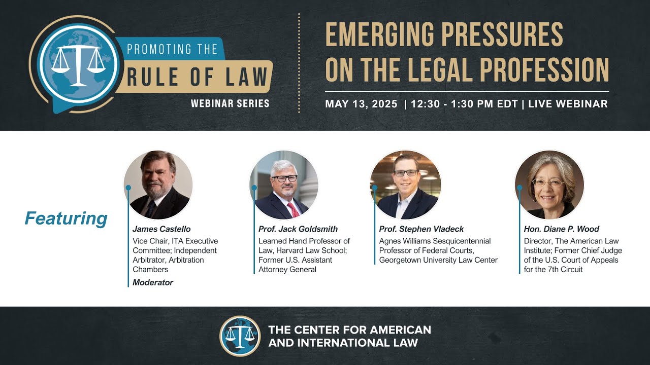 Promoting the Rule of Law: Emerging Pressures on the Legal Profession