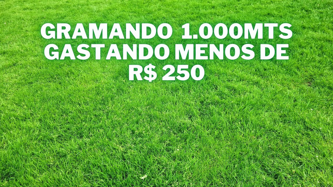 COMO GRAMAR 1.000MTS GASTANDO MENOS R$ 250.00?!!