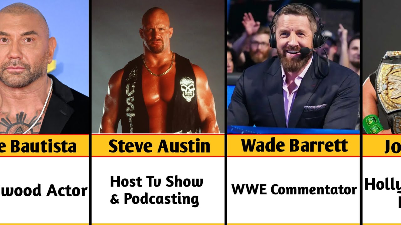WWE Wrestlers After Retirement Job ll Data Center 
