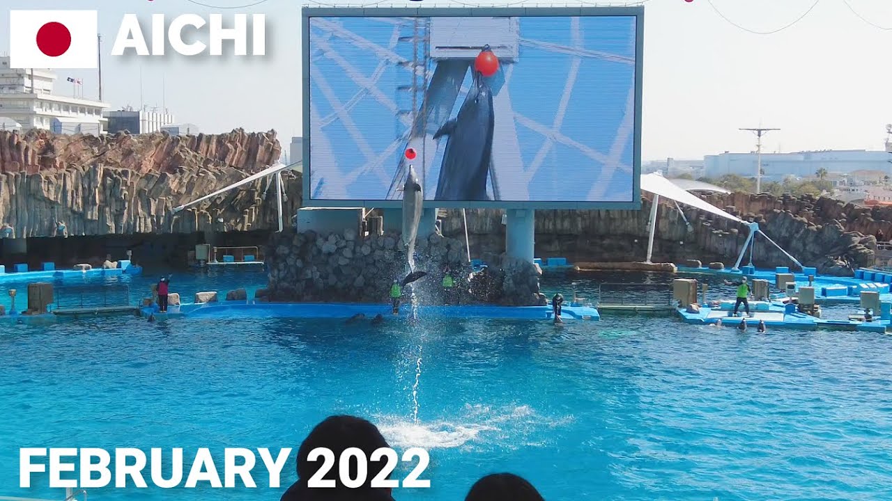【愛知】名古屋港水族館 - イルカパフォーマンス(ノーカット15分) Dolphin Show at Port of Nagoya Public Aquarium, Aichi, Japan