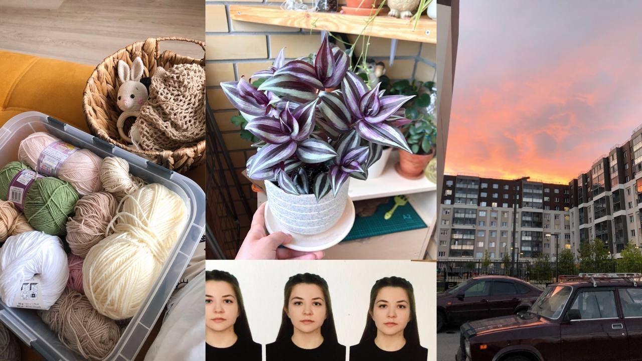Фотка на паспорт/мои жертвы ради неё/посадка традесканции/какие планы на вязание