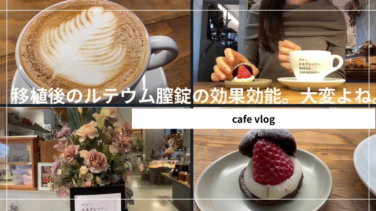 移植後のルテウム膣錠の効果効能。大変ですよね。。#不妊治療 #アラフォー婚 #アラフォー不妊治療#妊活#妊活vlog#不妊治療vlog#移植周期 