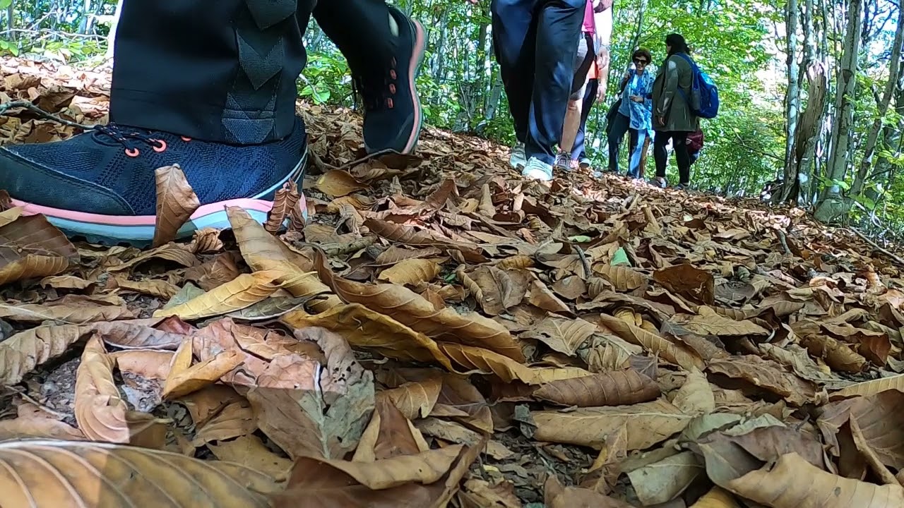 Dumanlı Yaylası Düziçi Osmaniye