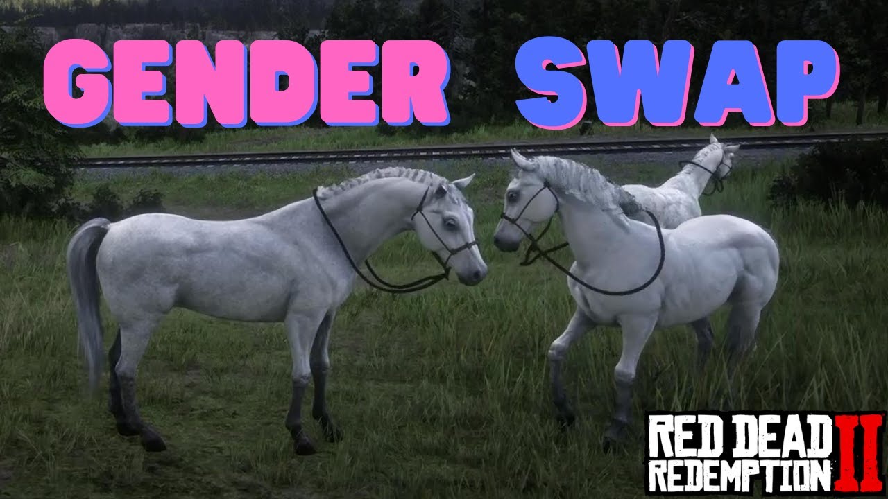 How To Change The Sex Of A Horse