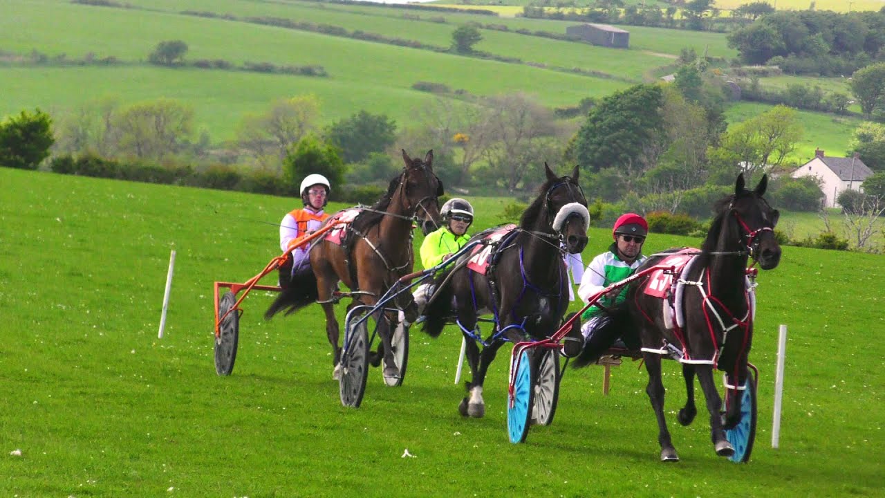 Synod Inn Harness Races 2022 Consolation Race