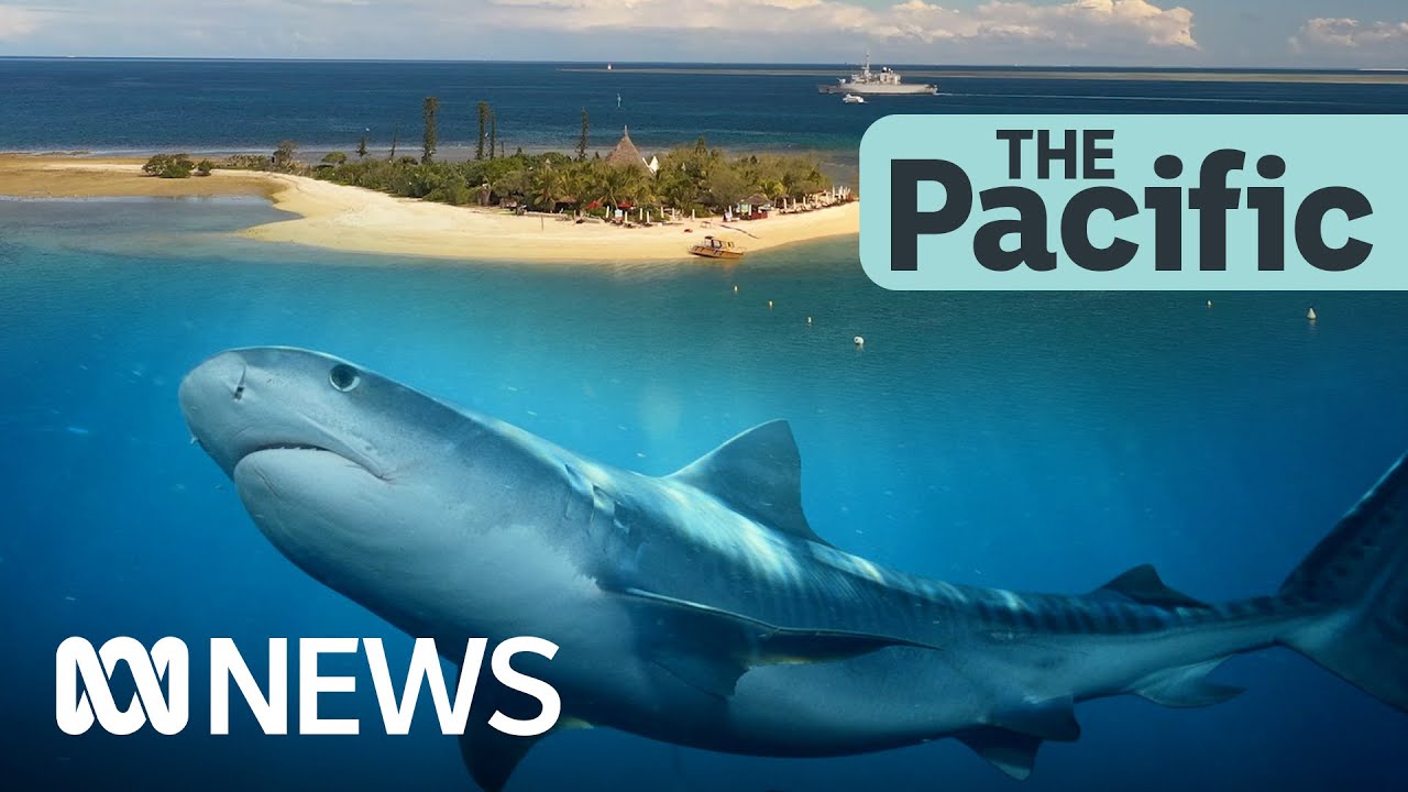 Extreme measure to stop sharks in New Caledonia | ABC News