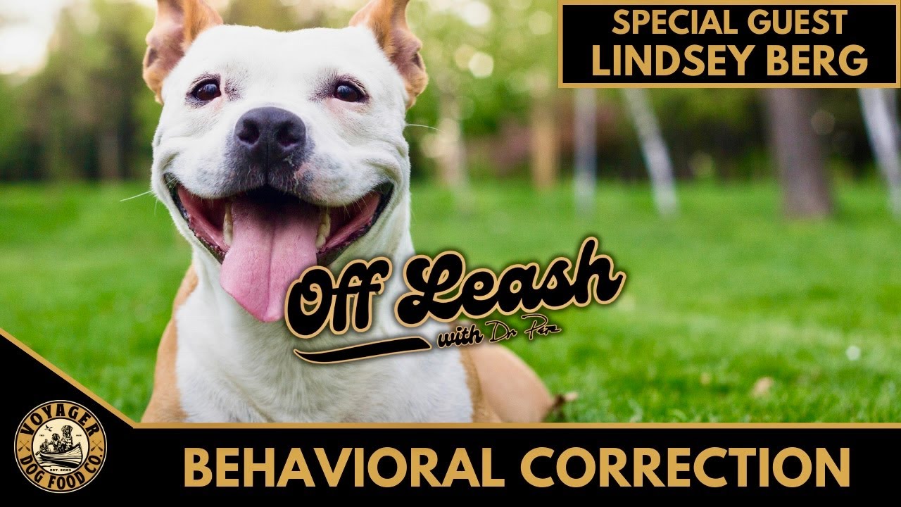 Lindsey Berg; Behavioral Correction