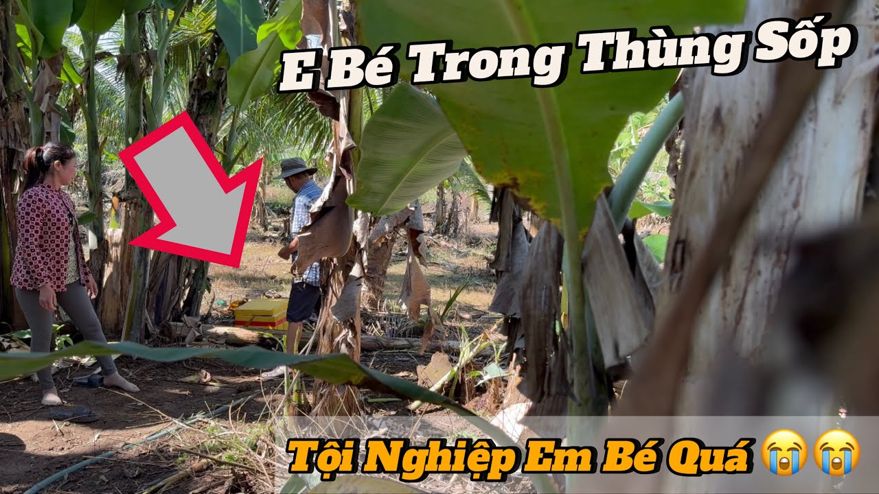 Ai Bỏ Em Bé Trong Thùng Sốp ,rồi bỏ sau rẫy Ông 8 -Khi phát hiện thì….?