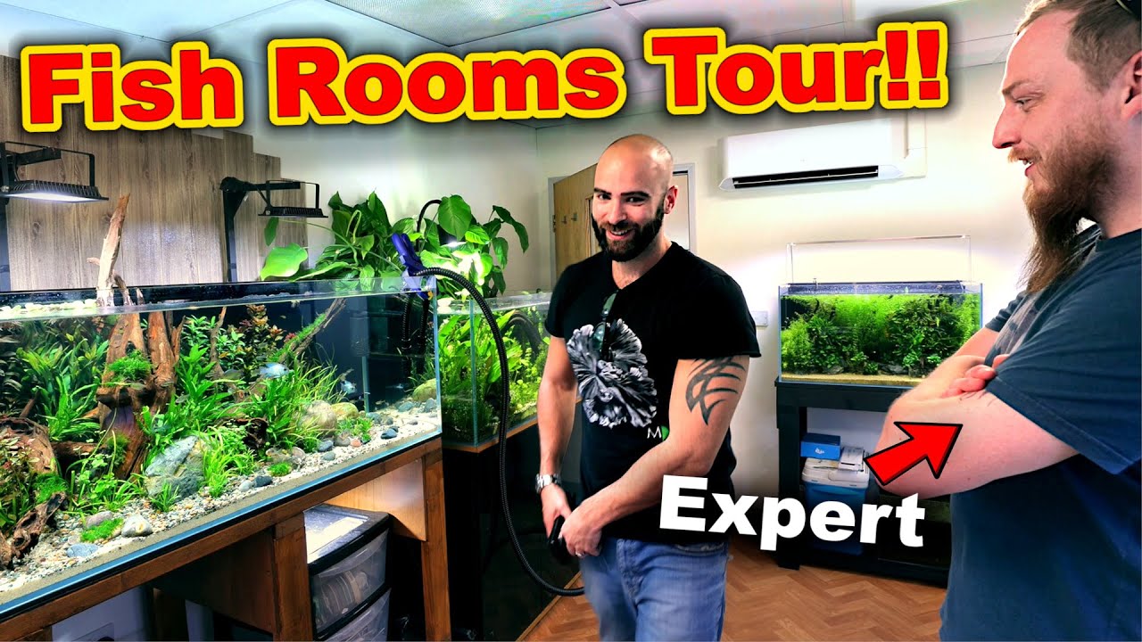 HUGE Fish Rooms TOUR with Fish EXPERT REVIEW!! (30+ AQUARIUMS)
