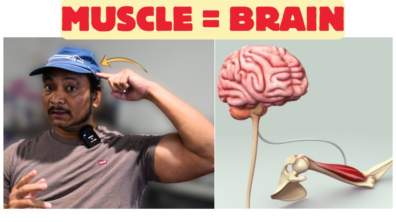 Why You Train Hard but Don’t Grow Muscle (Tension Explained)