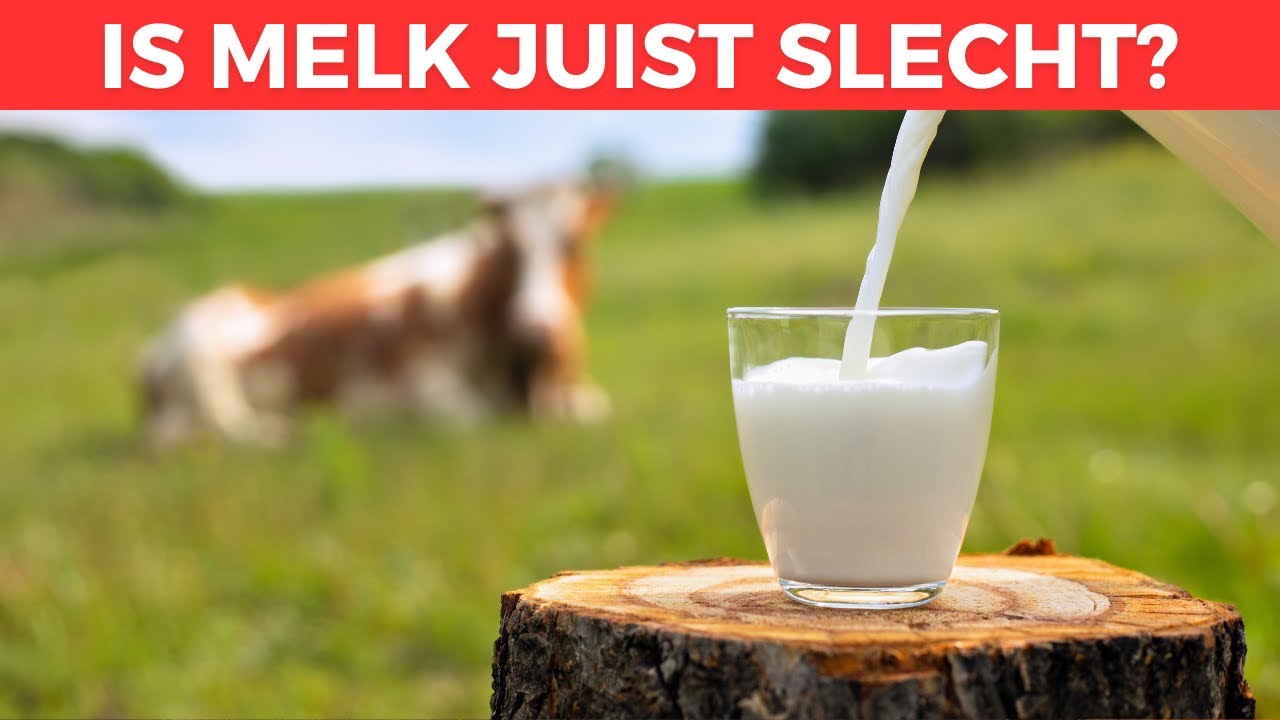 Is Melk ONGEZOND Bij Diabetes? Veroorzaakt Zuivel Diabetes?!