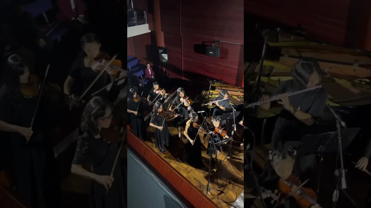 Song of peace Finlandia by nightingale orchestra