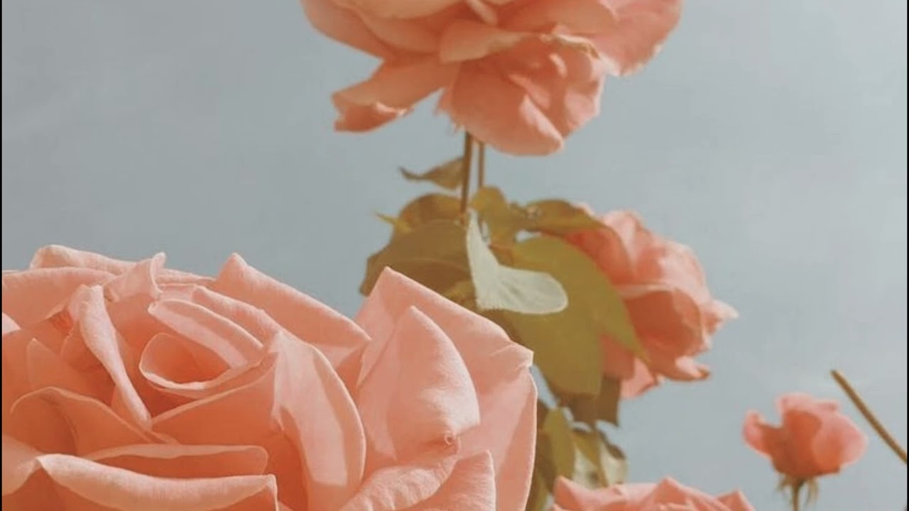 Rihanna - s&m (Slowed + Reverb)