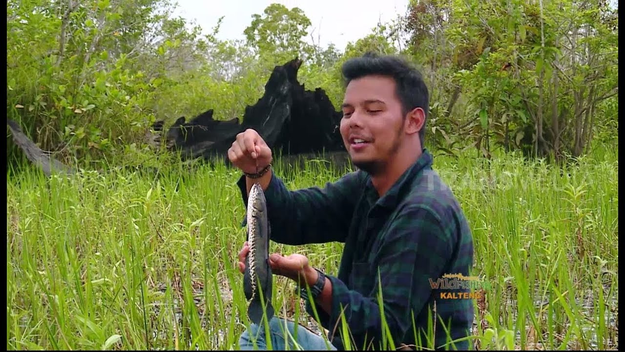 JEJAK PETUALANG | MEMBURU TANGKAPAN LIAR CARA TRADISIONAL (20/06/18) 2-3
