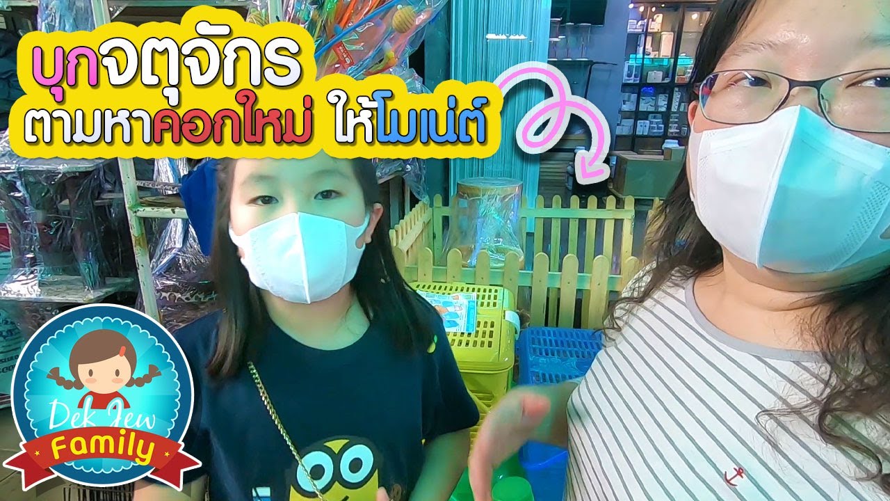 บุกจตุจักร ตามหาคอกให้โมเน่ต์