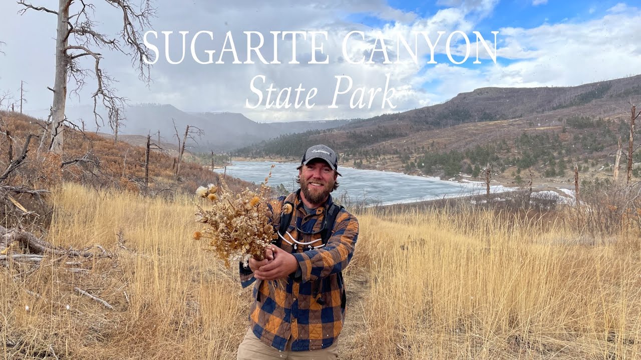 Sugarite Canyon State Park